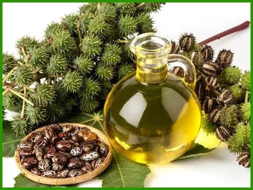 FSG Castor Oil (First Special Grade) packed in HDPE drums for pharmaceutical and industrial applications