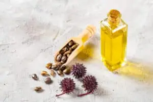 castor-oil-fruits-seeds-ricinus-communis - Nova Industries Castor oil with seeds and fruits