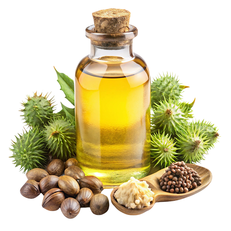 Nova Industries Castor Oil and castor Derivatives Manufacturer in Gujarat India