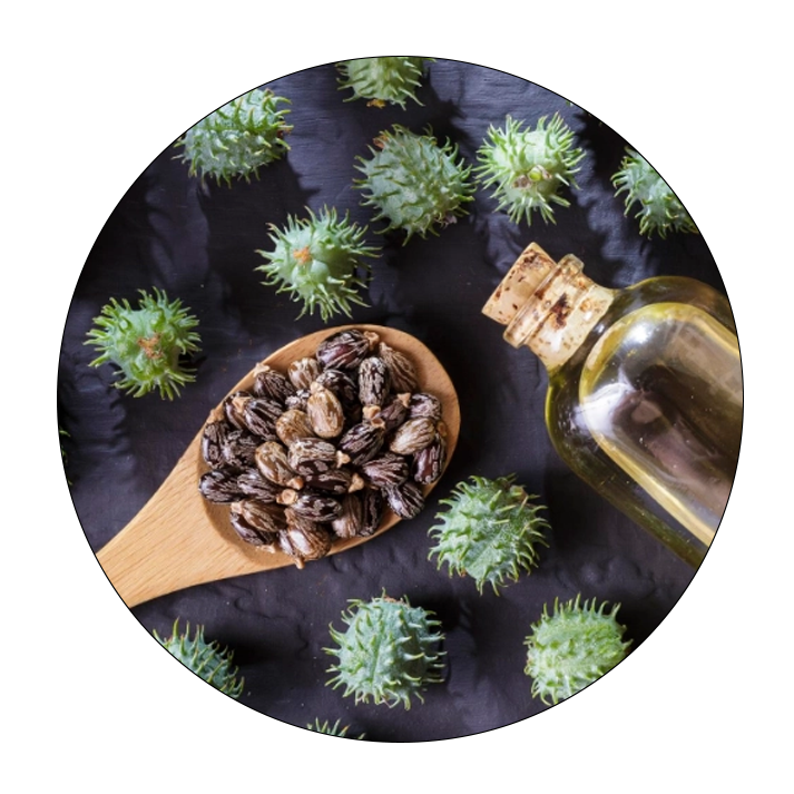 Castor Oil Manufacturer