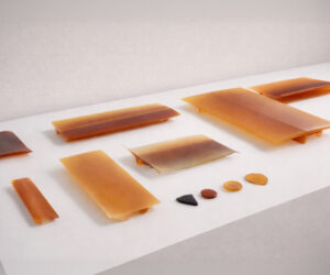 Castor-Based Polyamide Resin