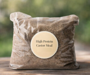 High Protein Castor Meal