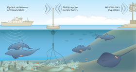 Marine & Environment-Sensitive Applications