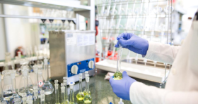 Pharmaceutical Derivatives Manufacturing