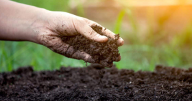Soil Conditioning
