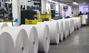 Paper & Pulp Industry